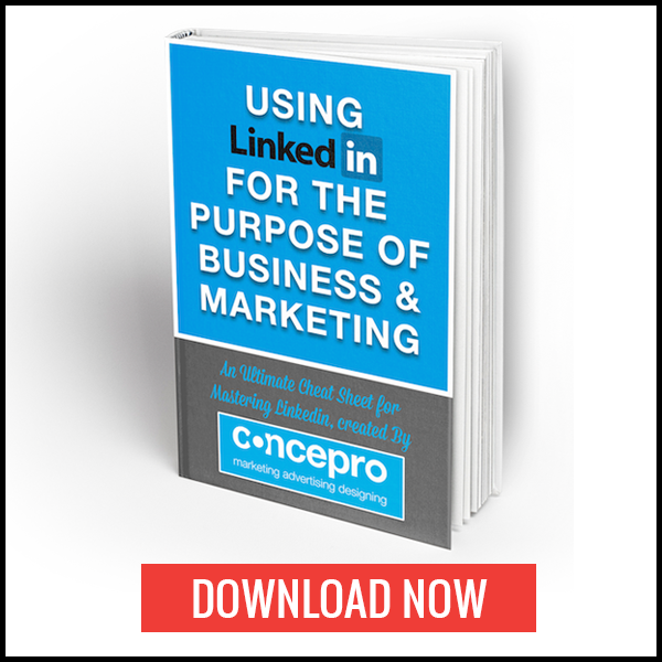 Mastering Linkedin eBook